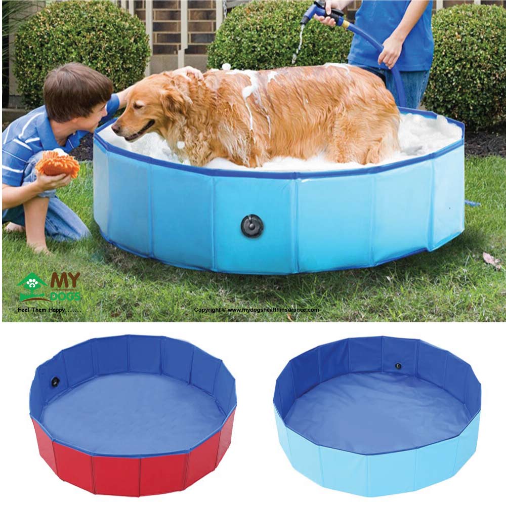 Outdoor Foldable Dog Swimming Poo