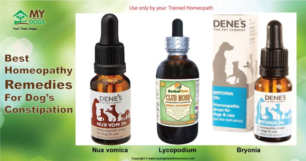 Homeopathy Treatment for constipated dog