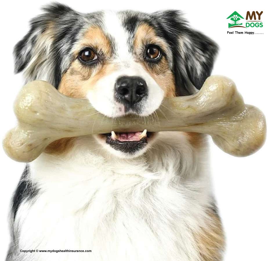 Dog Bones Chews