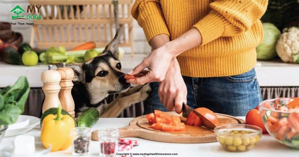 Balance Diet for constipated Dog