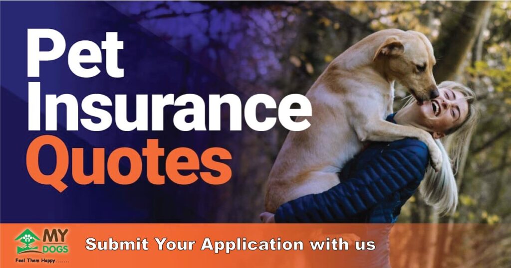 Apply for Insurance Quote