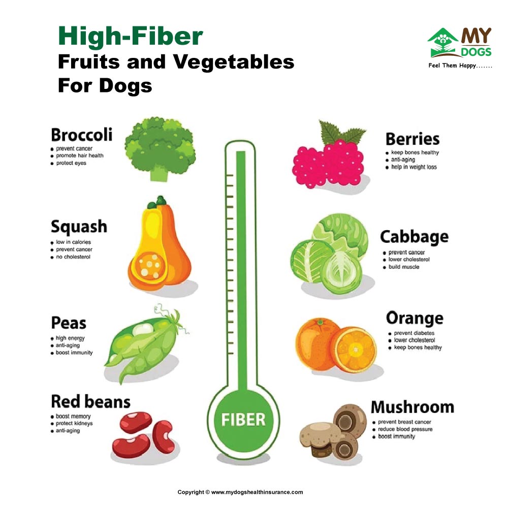 high-fiber fruits and vegetables for dogs