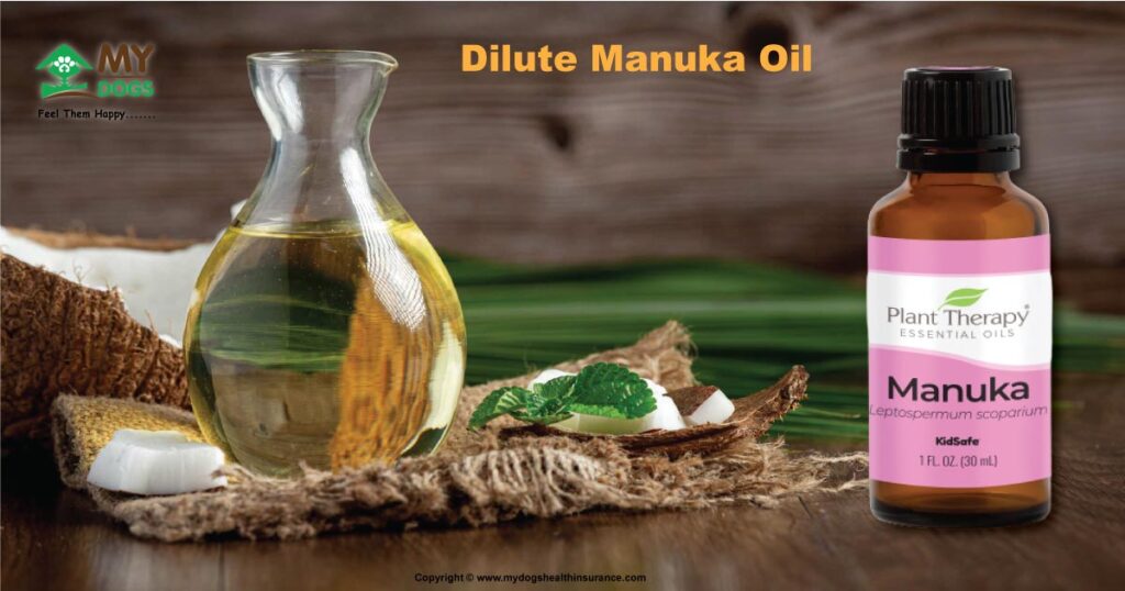 Dilute manuka oil for dog ears cleaning