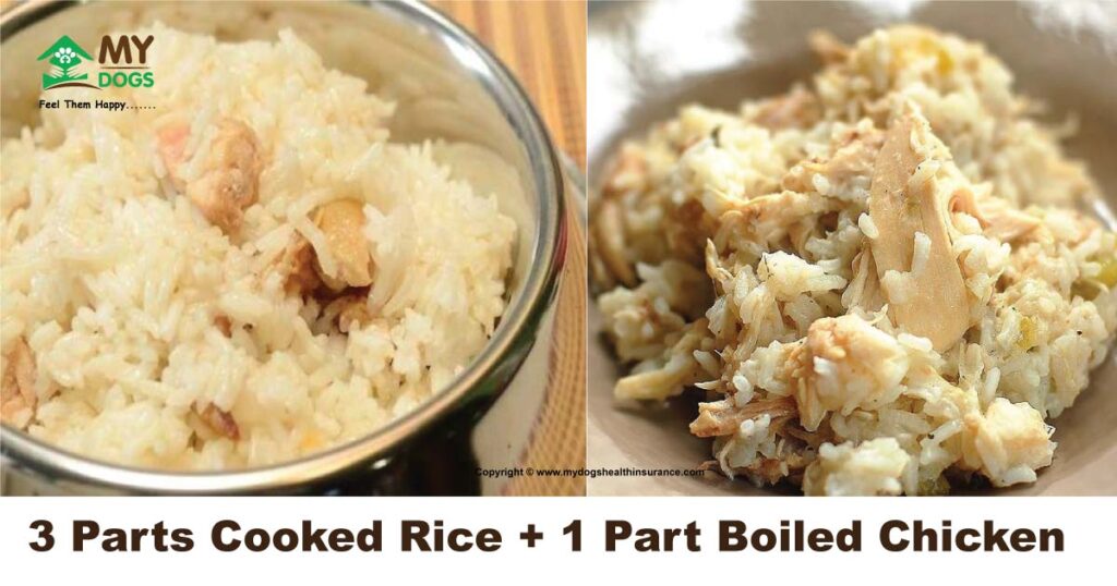 Cooked Rice with Boiled Chicken- Food for Dog has diarrhea