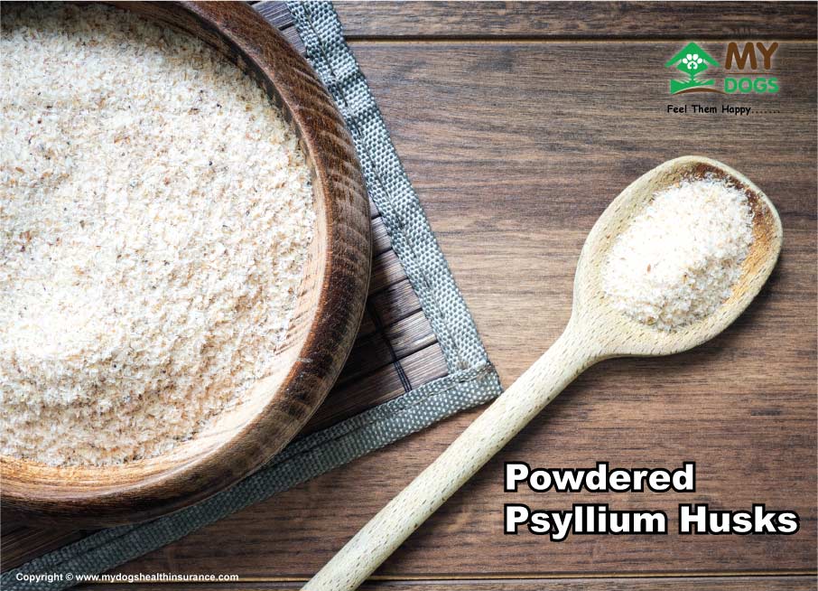 Powdered Psyllium Husks for dogs