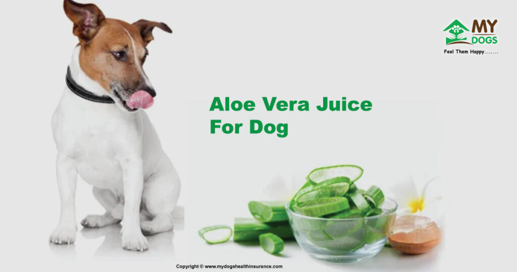 Aloe Vera Juice For dog