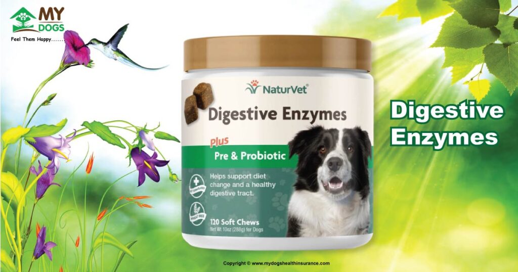 Digestive enzymes for constipated dog