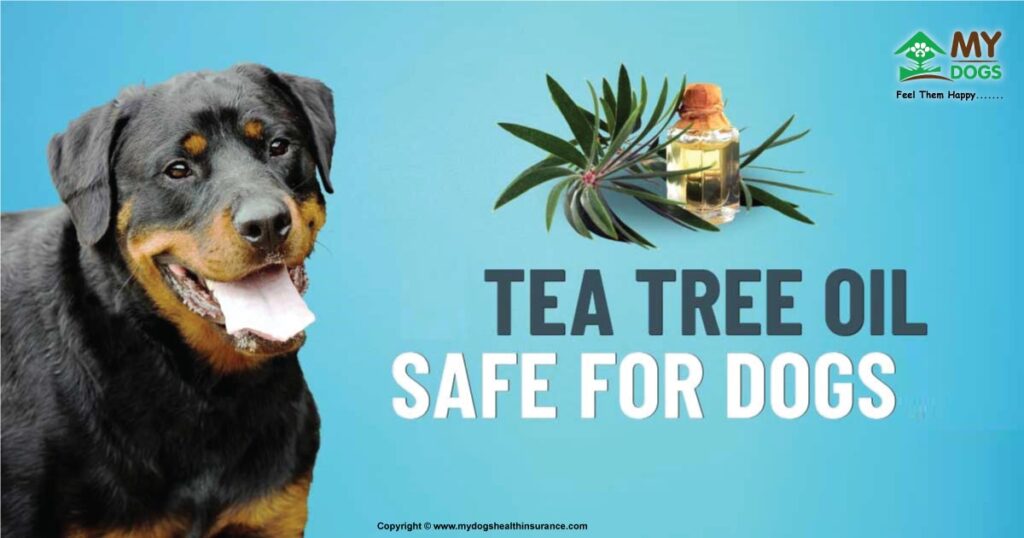 Tea Tree Oil for Dogs