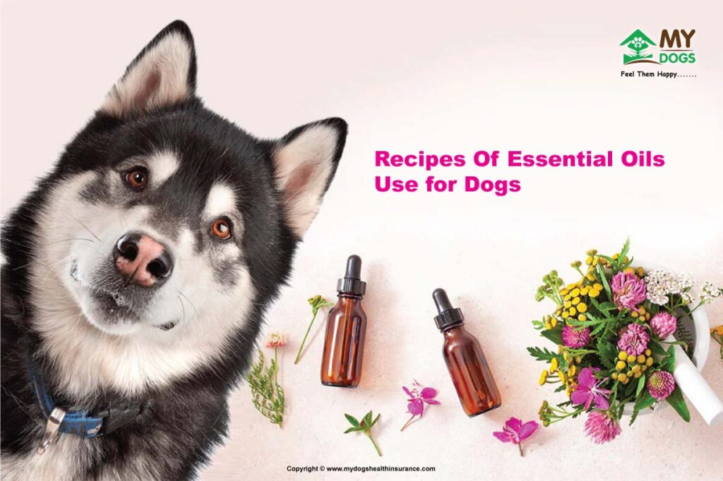 Recipes Of Essential oils -  Use for Dogs