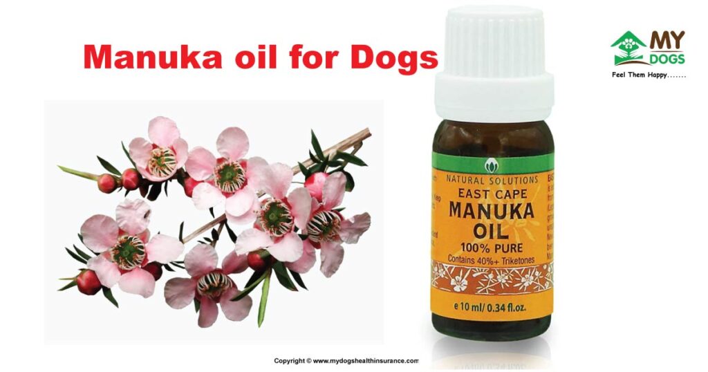 Manuka oil For Dogs