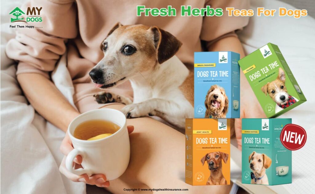 Herbs Teas For Dogs