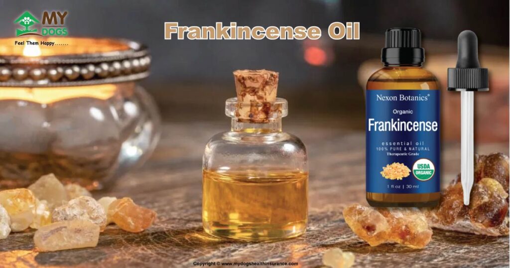 Frankincense Oil for Dogs