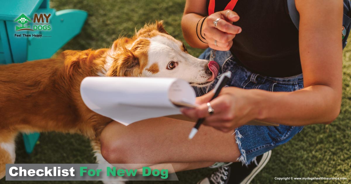 checklist for new dog