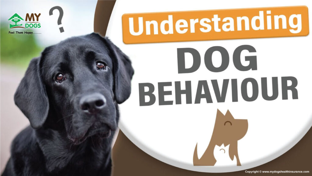  Understanding Dog behavior 