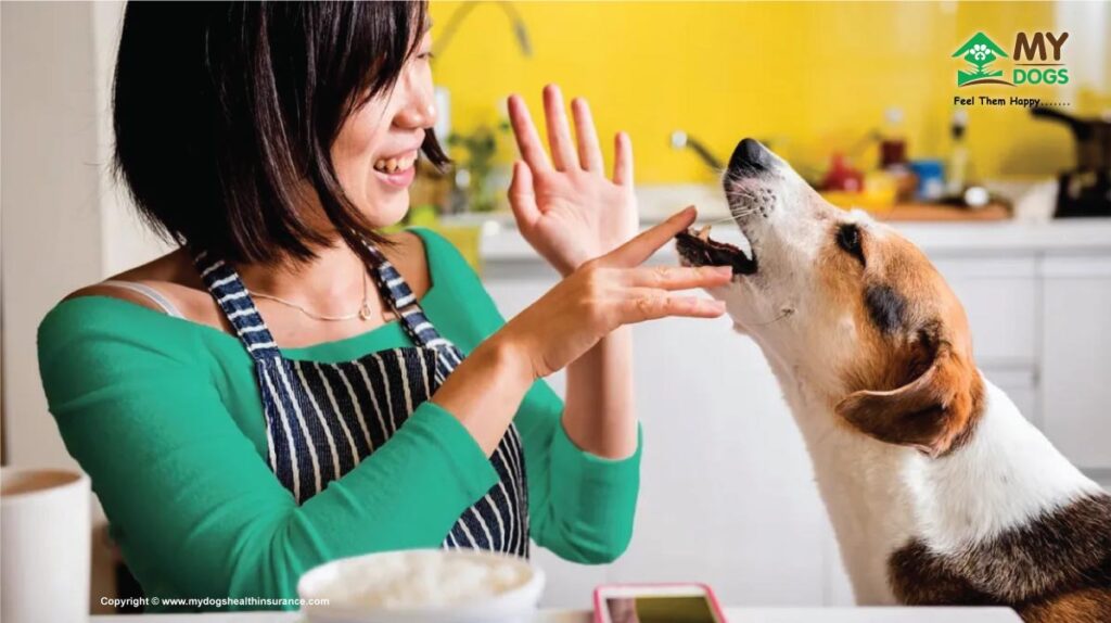 Prepare Foods for Dogs