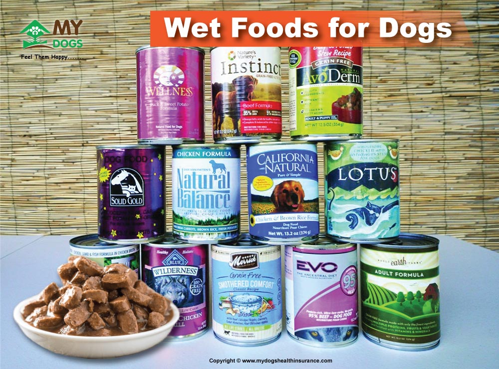 Wet Food for Dogs