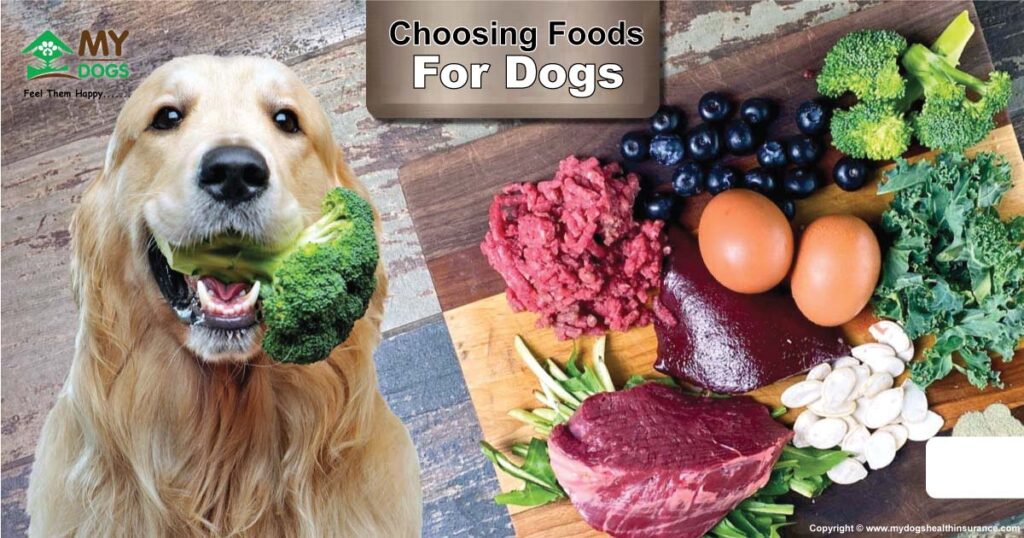 Choosing Foods For Dogs: