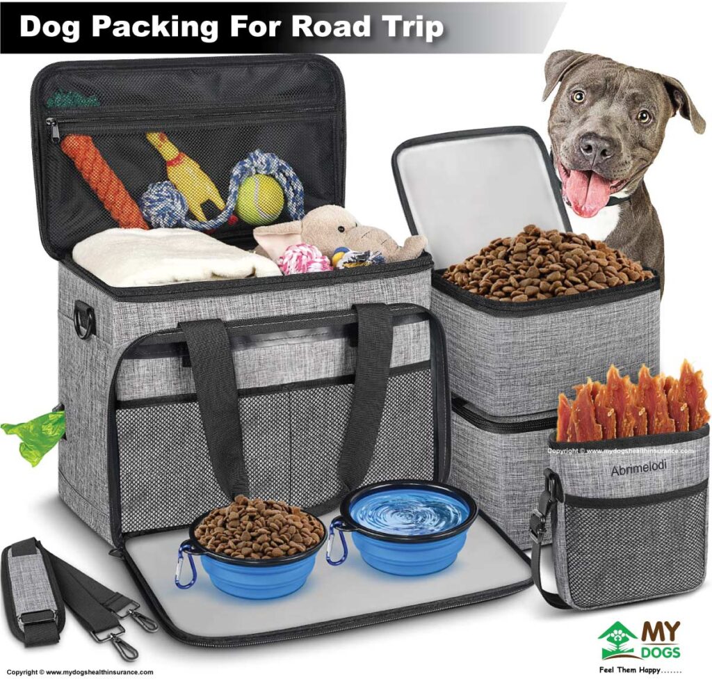 Pack for Your Dog