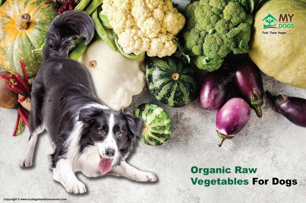 Organic Raw Vegetables for dogs