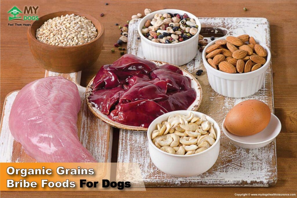 Organic Grains Bribe Foods for dogs