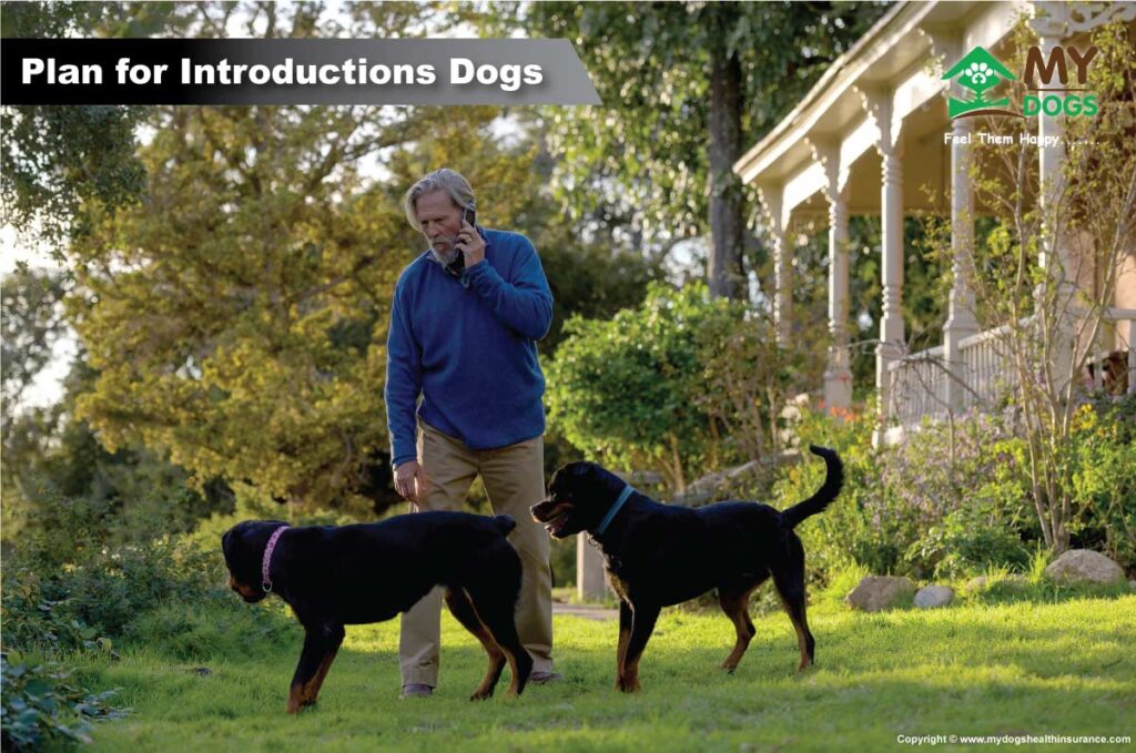 Plan for Introductions Dogs