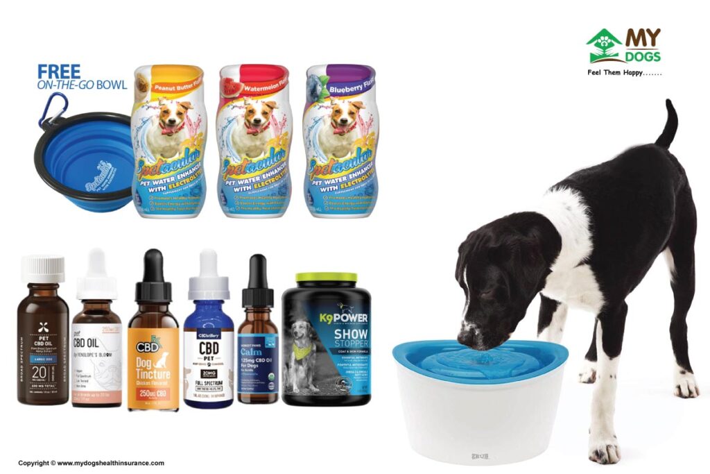 Water and Supplements for dogs