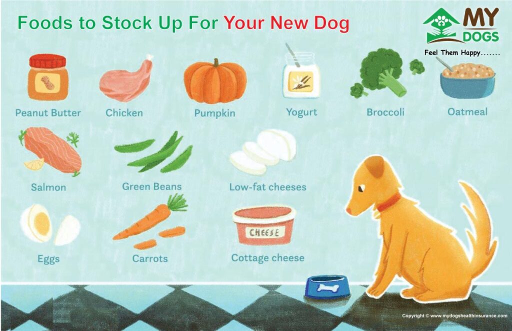 Foods to Stock Up For Your New Dog