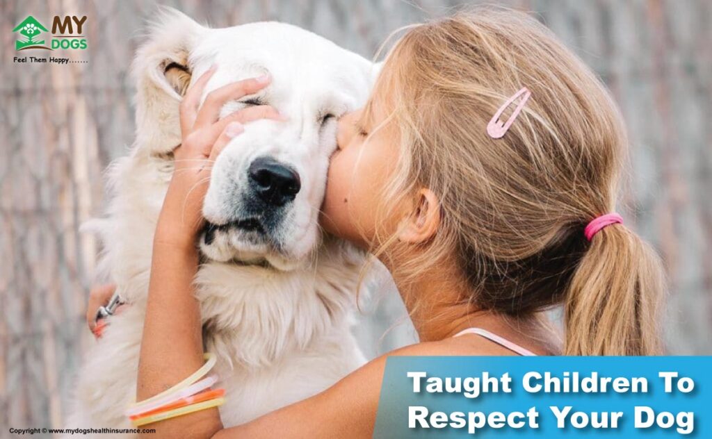 Taught Children To Respect Your Dog