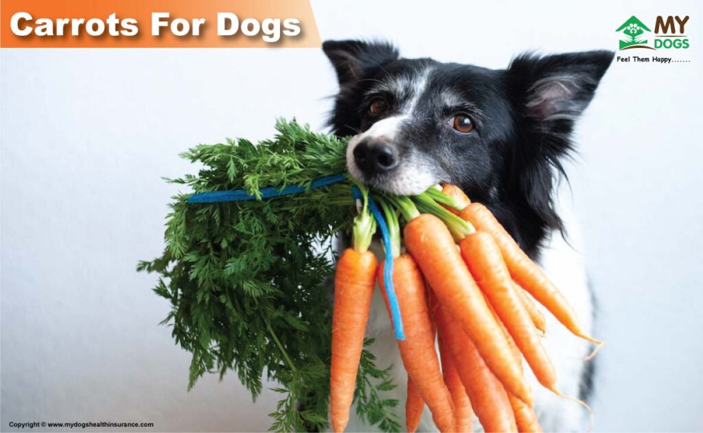 Carrots for dogs 