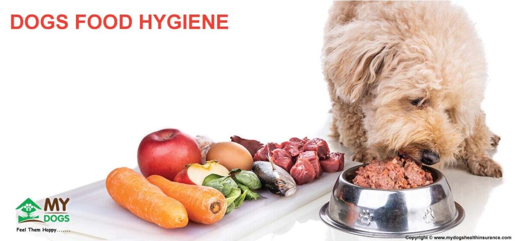 DOGS' FOOD HYGIENE