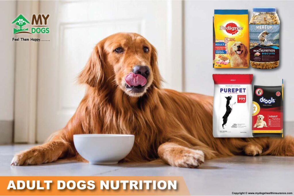 ADULT DOGS NUTRITION