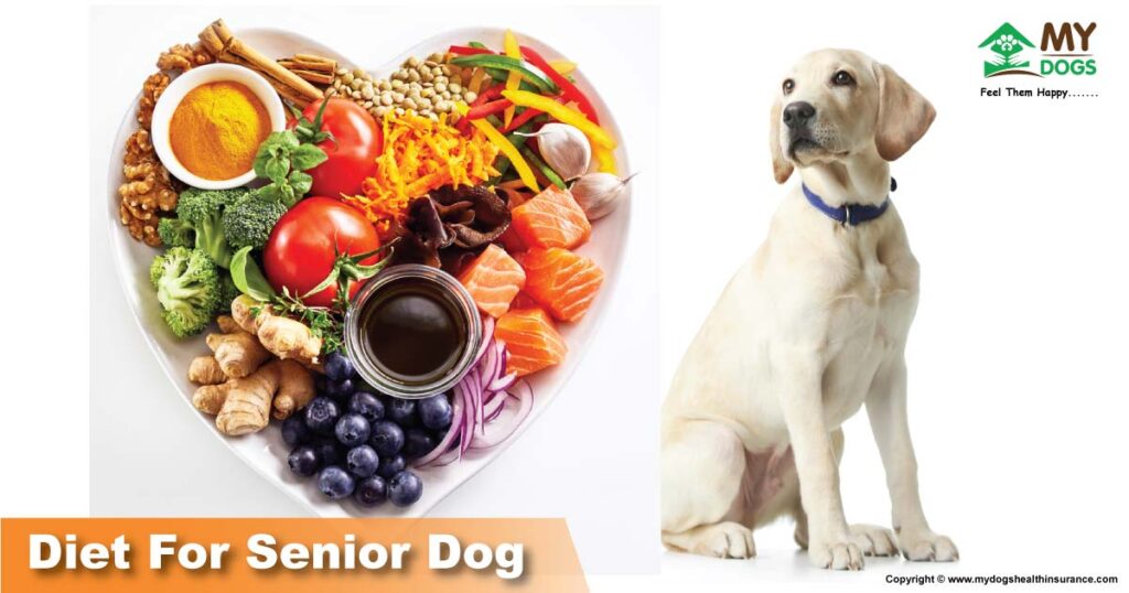 Diet For Senior Dog