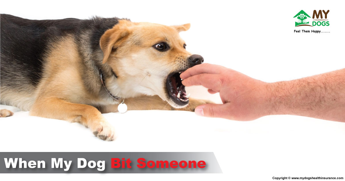 When My Dog Bite Someone