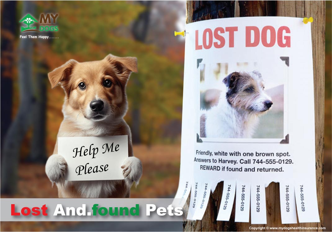 Lost And.found Pets