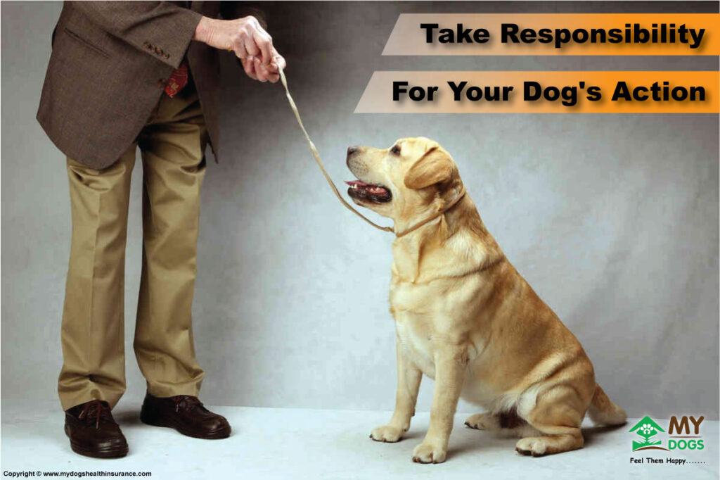 Take Responsibility For Your Dog's Action