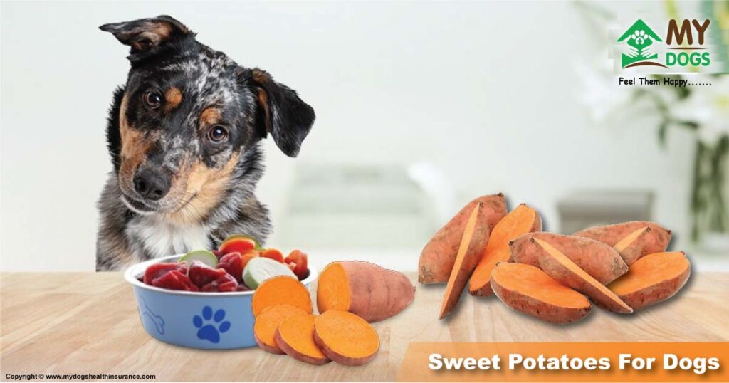 Sweet potatoes for dogs