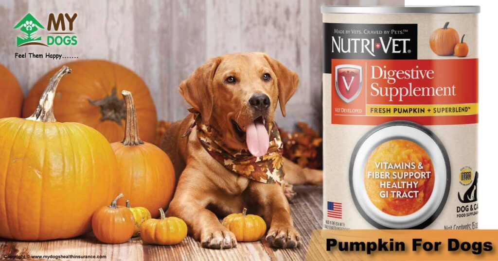 Pumpkin for dogs