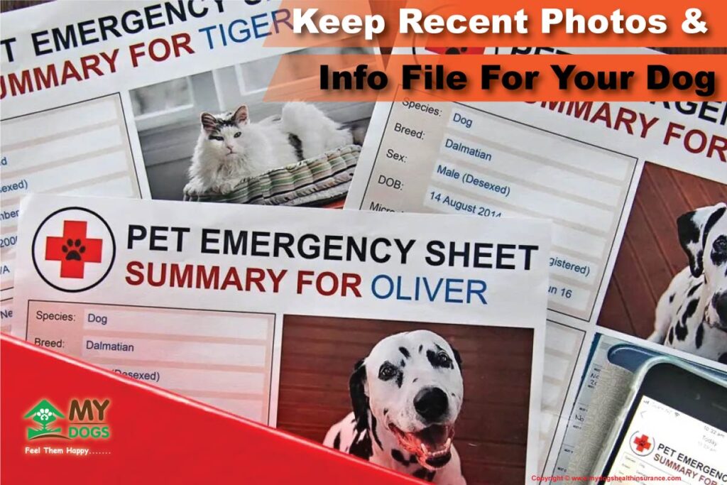 Information File For Your Dog