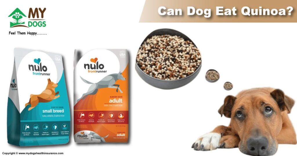 Quinoa for dogs