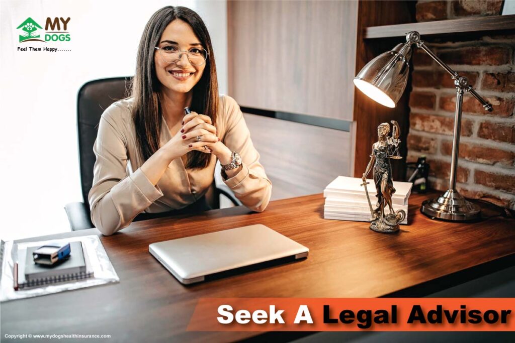 Looking For A Legal Advisor