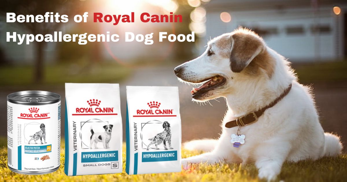 Royal Canin Hypoallergenic Dog Food