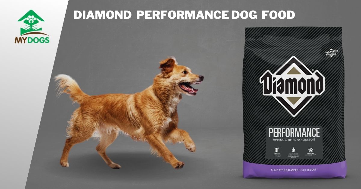 diamond performance dog food