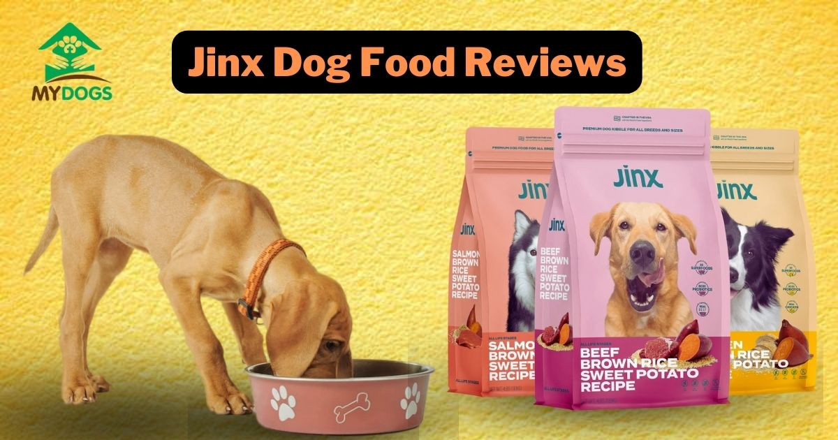 Jinx Dog Food Reviews