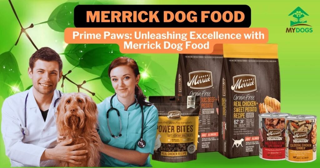 Why Merrick Dog Food Is a Healthy Choice? Merrick-Dog-Food-1024x538