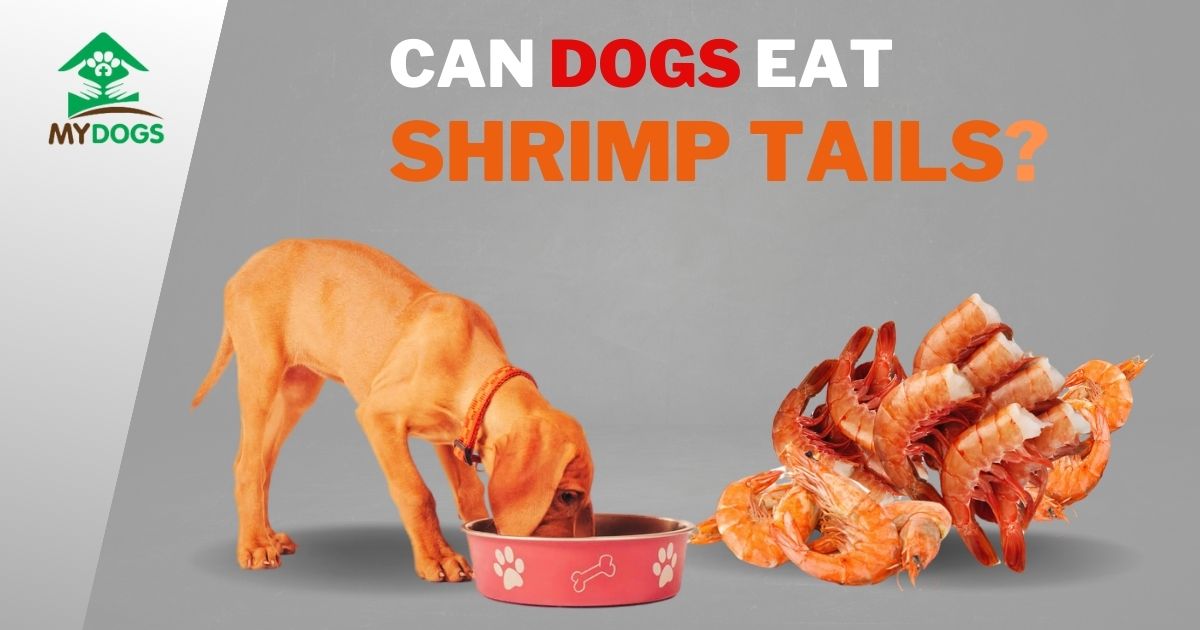 can dogs eat shrimp tails