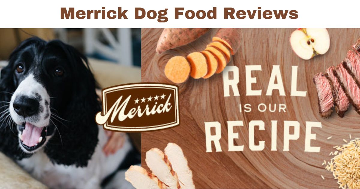 merrick dog food reviews