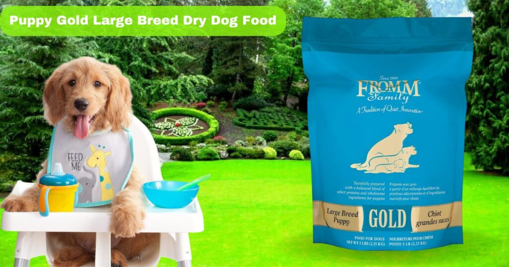 Fromm Puppy Gold Large Breed Dry Dog Food