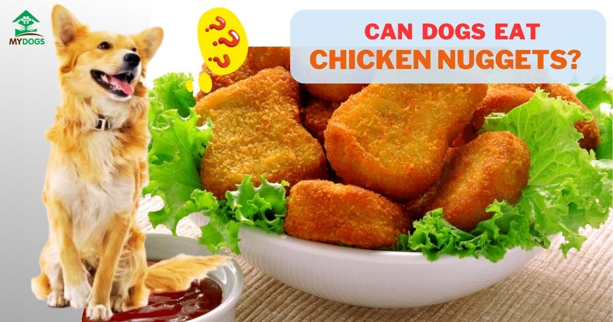 Can Dogs Eat Chicken Nuggets