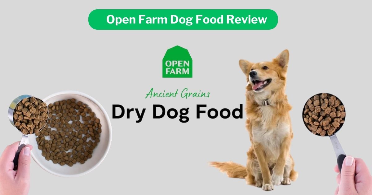 Open Farm dog food review