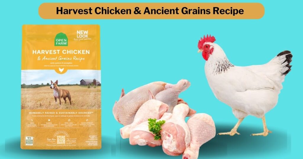 Open Farm Grain-Free Harvest Chicken & Ancient Grains Recipe